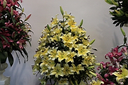 Resize of IMG_7201.JPG